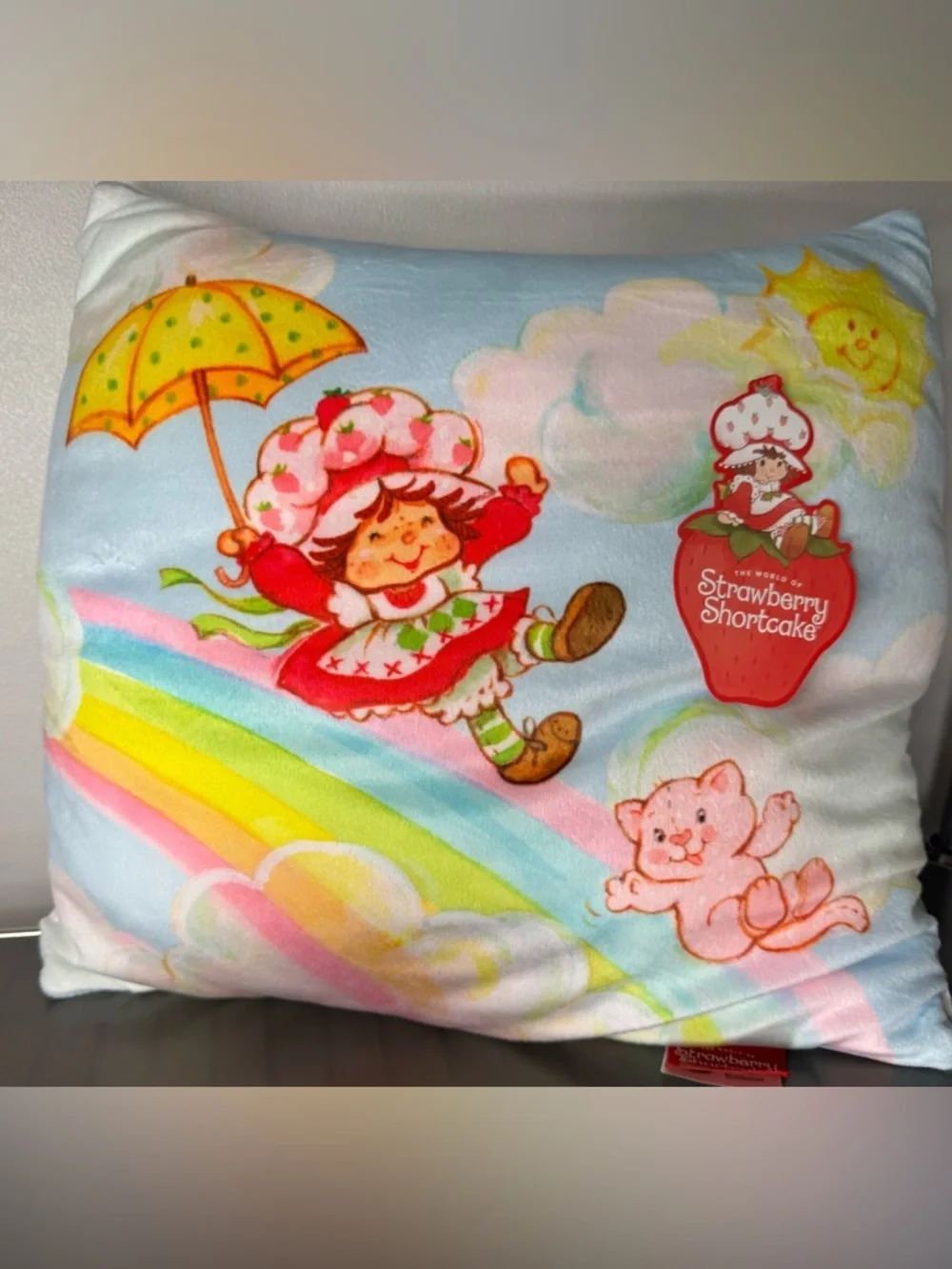 The World of Strawberry Shortcake vintage style Rainbow Pillow - Pastel Colors